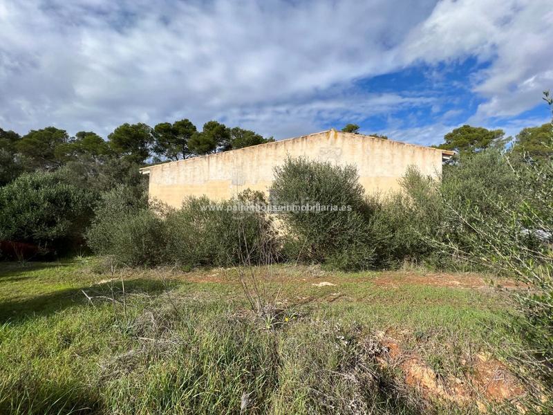 Foto 9da5df9b-3612-43f2-ac26-1e144a385716. Residential plot in Algaida