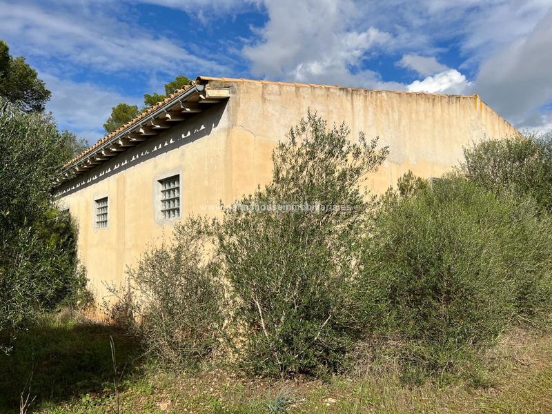 Foto a04fda45-d313-4d8f-b6af-81f958ba9b74. Residential plot in Algaida