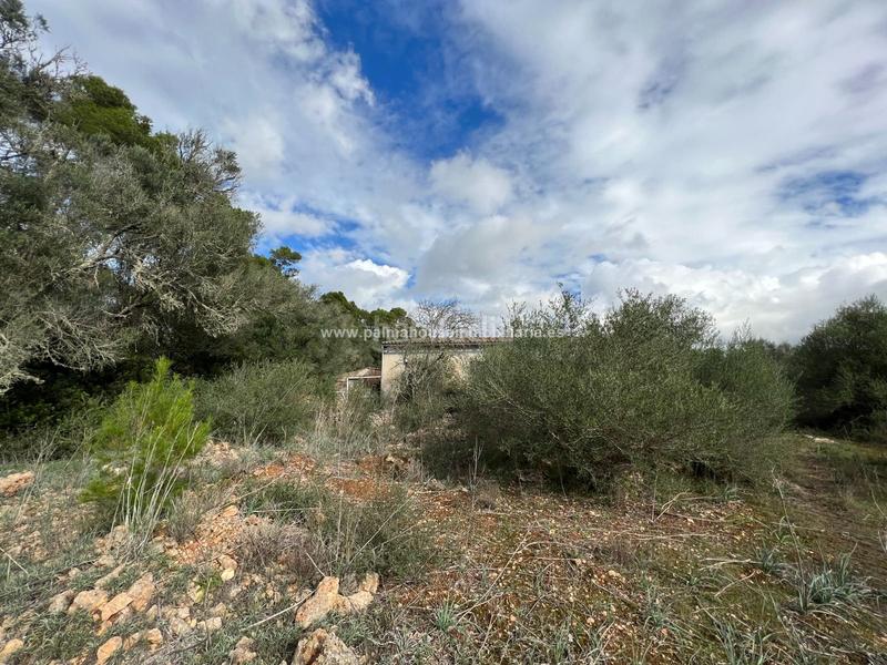 Foto a3d666f3-6b89-44d0-811d-7b5f24735f3b. Residential plot in Algaida