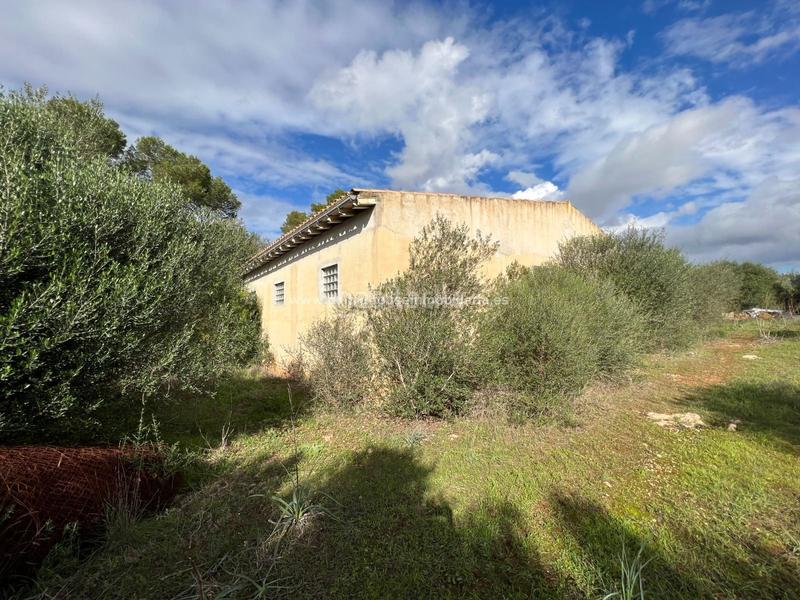 Foto b49dfafe-3e9b-4aae-84ca-20c4547d205f. Residential plot in Algaida