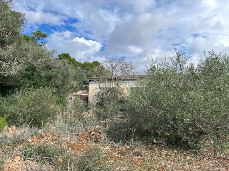 Foto bcb5cef3-794d-463e-9946-d054b802f67b. Residential plot in Algaida