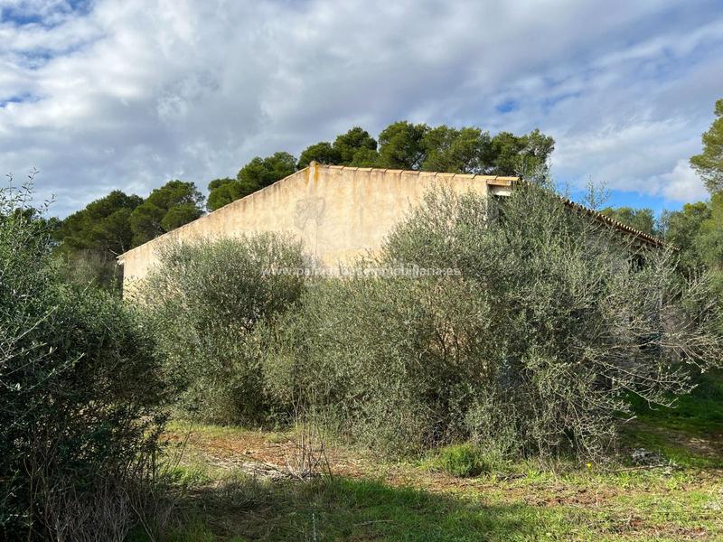 Foto c6e28269-b59a-48a3-8d9a-4565c1749a91. Residential plot in Algaida