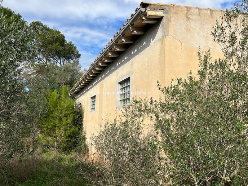 Foto d5313b25-c763-479d-ae2c-5135a38f1b47. Residential plot in Algaida