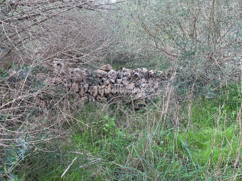 Foto f940ee0a-e8b3-4986-a50b-ff53a2dc6b18. Residential plot in Algaida