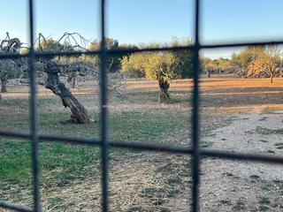 Terreno residencial en Maria de la Salut. Terreno con nave de 50mts y agua!!!!!