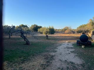 Residential Plot in Maria de la Salut. Terreno con nave de 50mts y agua!!!!!