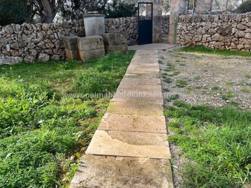 Foto 7cebd6f7-6471-47f0-9e0b-88a19883e58e. Terreny residencial a Santa Margalida poble Santa Margalida