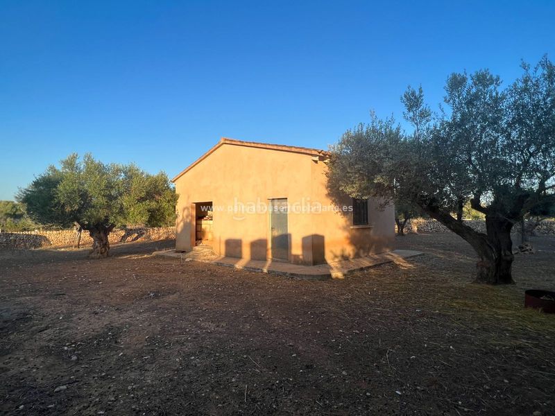 Foto 9aa3d71e-8952-49d3-8505-31c68edfbae5. Terreny residencial a Santa Margalida poble Santa Margalida