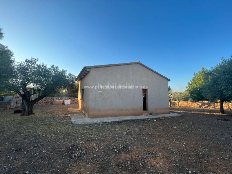 Foto 9f9f5f60-463e-489b-b8bf-04e3024e6869. Terreny residencial a Santa Margalida poble Santa Margalida