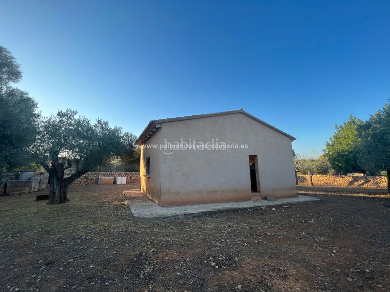 Foto b1e68658-a730-4f52-b074-fda2d9f8b109. Terreny residencial a Santa Margalida poble Santa Margalida