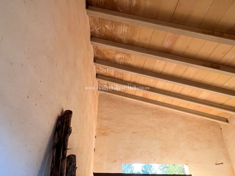 Foto d7d42e96-59fb-4405-9ec1-2b279a42aea4. Terreny residencial a Santa Margalida poble Santa Margalida