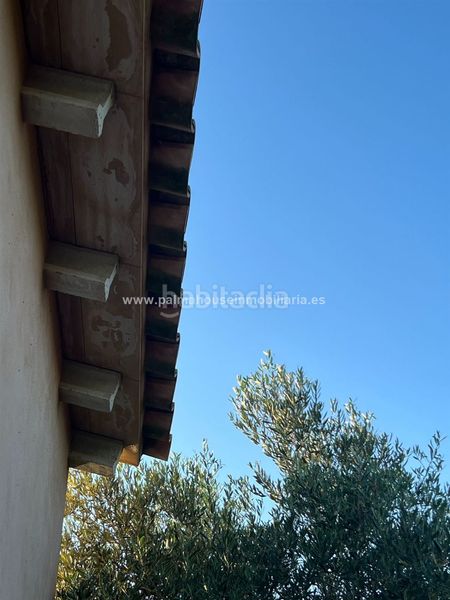 Foto f37aed10-f47a-4c07-86fb-33ad3387aec8. Terreny residencial a Santa Margalida poble Santa Margalida