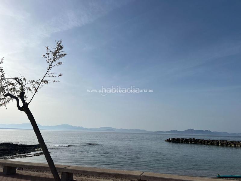 Foto 49f16ad8-ed12-4077-be96-52fec4de1862. Alquiler casa planta baja para temporada en zona costera en Artà