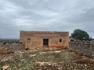 Terreny residencial a Ariany. Espectacular rustica en centro de la isla!!