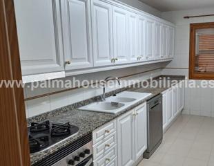 Affitto Attico in Arxiduc. Pisazo y parquing al lado de 31 diciembreavenidas!!