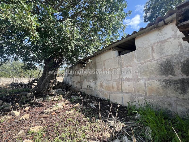 Foto 03f1aef6-846e-4a21-b246-371639054b08. Wohngrundstück in Llubí