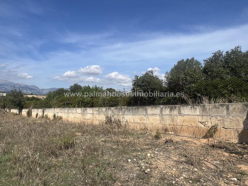 Foto 10dac6c6-5b73-468d-a930-aecc2673fda8. Wohngrundstück in Llubí