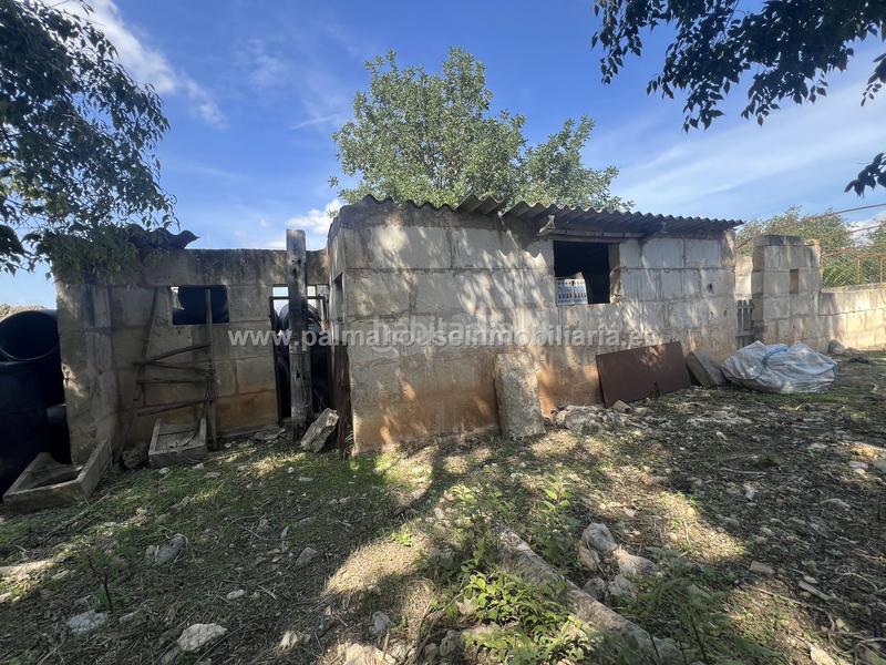 Foto 19abcf1d-8309-4c97-907c-6378a2f33b29. Wohngrundstück in Llubí