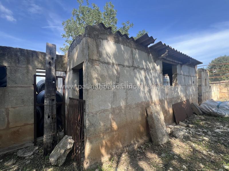 Foto 23b5db12-8044-4d30-83dc-1b1357f55098. Wohngrundstück in Llubí