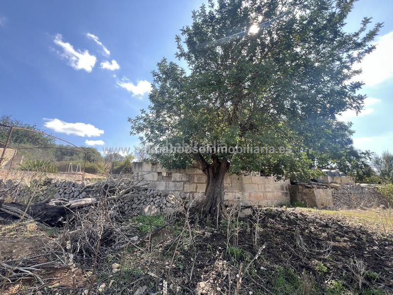 Foto 3f39dcb2-9bd1-4f28-8490-189a0e142d1d. Wohngrundstück in Llubí