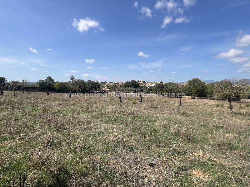 Foto 42158d34-7042-4129-ba88-f8f824deb7e9. Wohngrundstück in Llubí