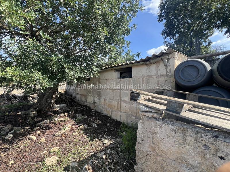 Foto 5b7f8c76-ec7f-4b54-b48f-4294cd5d1954. Wohngrundstück in Llubí