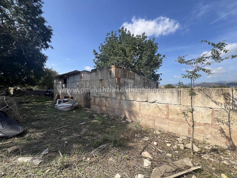 Foto 89d27fd7-9f3d-41dd-af08-50414e8e516e. Wohngrundstück in Llubí