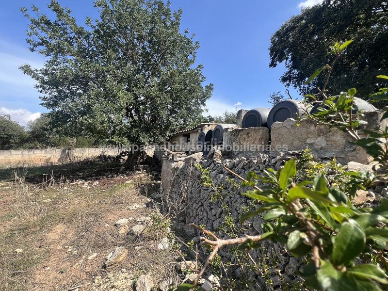 Foto 9776504b-667e-4e76-b2d3-7d1115a6cdc3. Wohngrundstück in Llubí