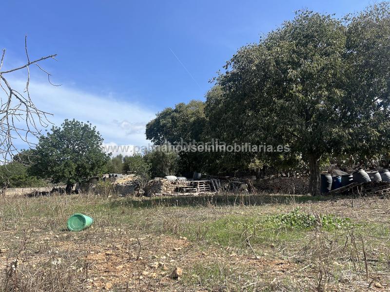 Foto a1ded13a-ca30-44da-8958-013f95a66529. Wohngrundstück in Llubí