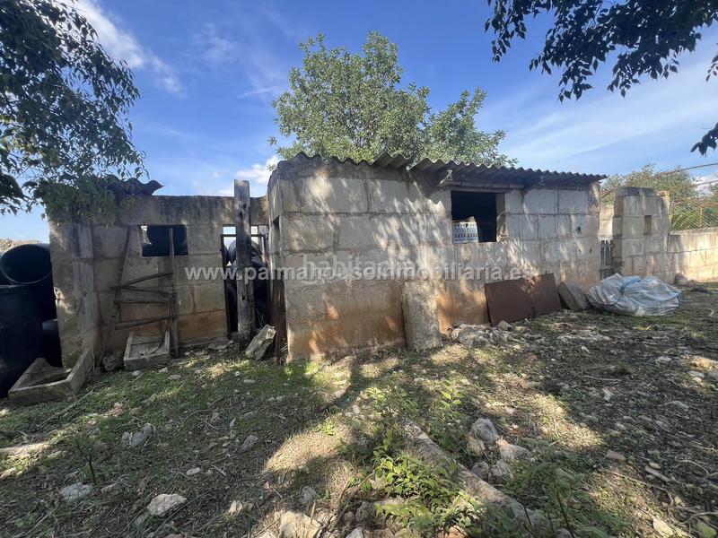 Foto fe07807c-96ba-474e-b2b4-3cadb2ddf8da. Wohngrundstück in Llubí