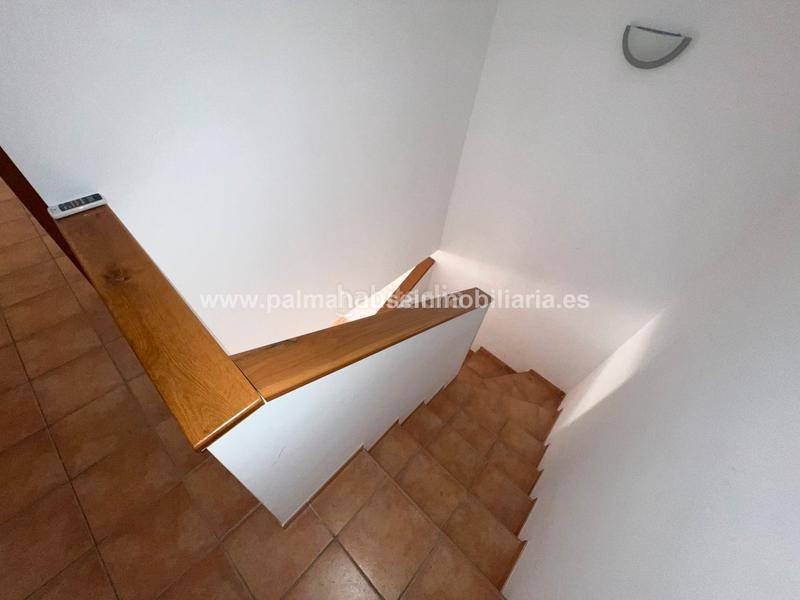Foto 85cfe3a6-28eb-4cdb-9f22-cf042cab223e. Alquiler casa adosada espacioso duplex con patio y terraza!! en Palma de Mallorca