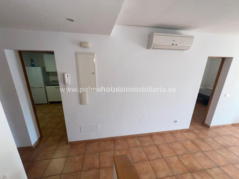 Foto cde3623e-419d-48b9-89b1-d982ed6f1692. Alquiler casa adosada espacioso duplex con patio y terraza!! en Palma de Mallorca