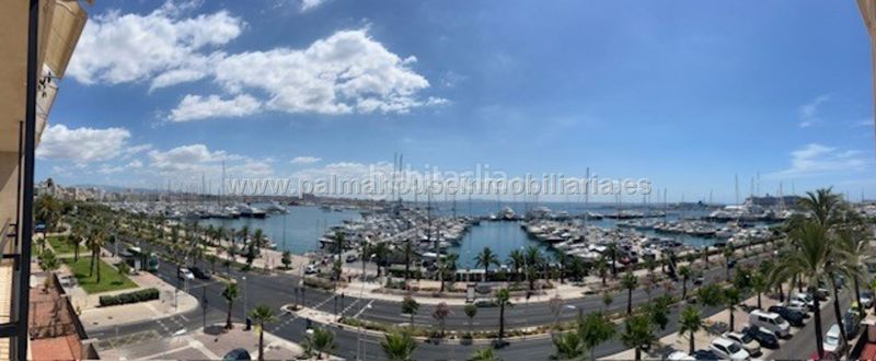 Foto 5f602652-937c-4a7d-9827-6d325efe7ce6. Pis a El Terreno Palma de Mallorca