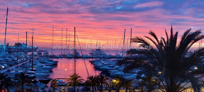 Foto 5fe759ef-5def-42c7-85dd-27d82da7d43c. Pis a El Terreno Palma de Mallorca