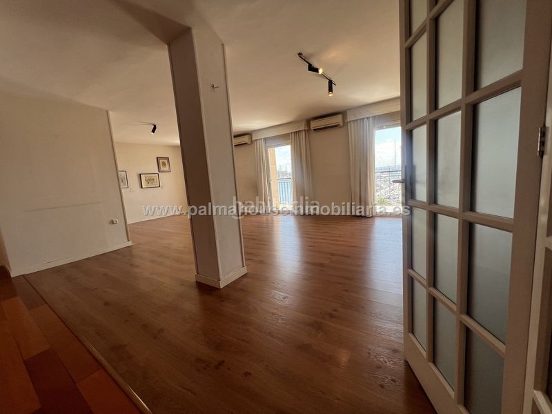 Foto 66fe85d0-8588-4f38-aaa0-613bde42a8ce. Pis a El Terreno Palma de Mallorca