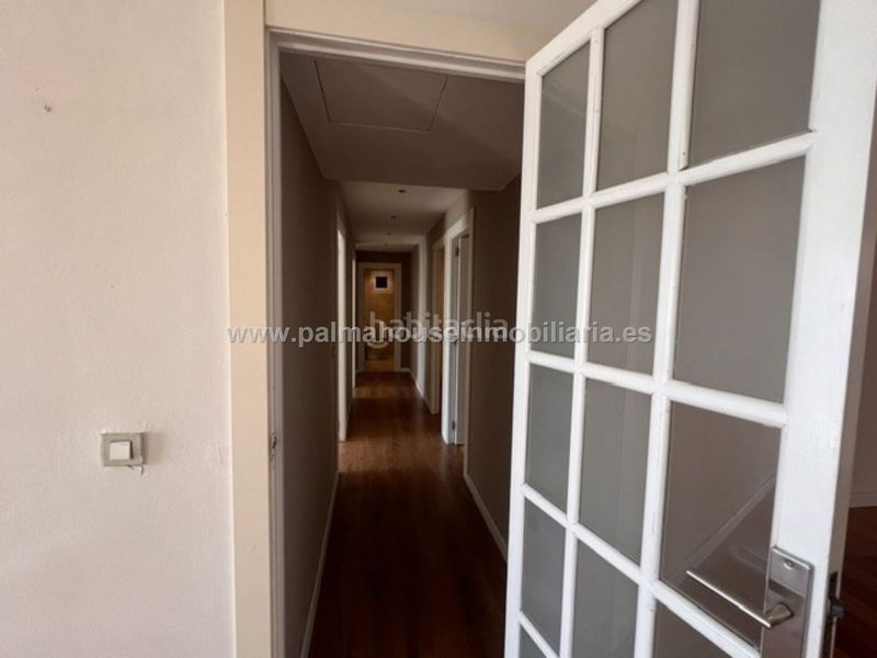 Foto 6b8fa650-d7bf-4b35-837e-c0f9a0f1ab43. Pis a El Terreno Palma de Mallorca