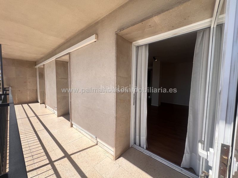 Foto a13a4aa2-7369-4b07-941b-82462d247179. Pis a El Terreno Palma de Mallorca