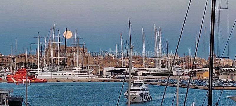 Foto a3166c6c-5239-4ae7-8e23-43034f663c57. Pis a El Terreno Palma de Mallorca