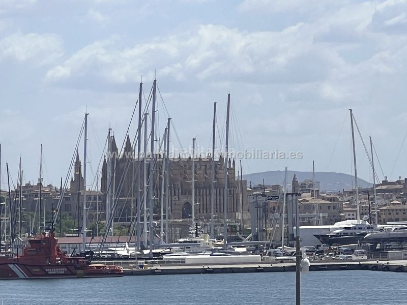 Foto b242d343-9b45-4308-a7f6-28e4aa476e13. Pis a El Terreno Palma de Mallorca