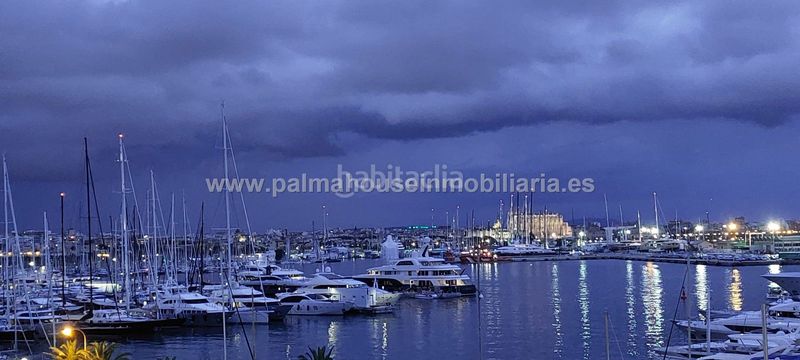 Foto fb272922-4221-48af-a973-9125e5790b86. Pis a El Terreno Palma de Mallorca