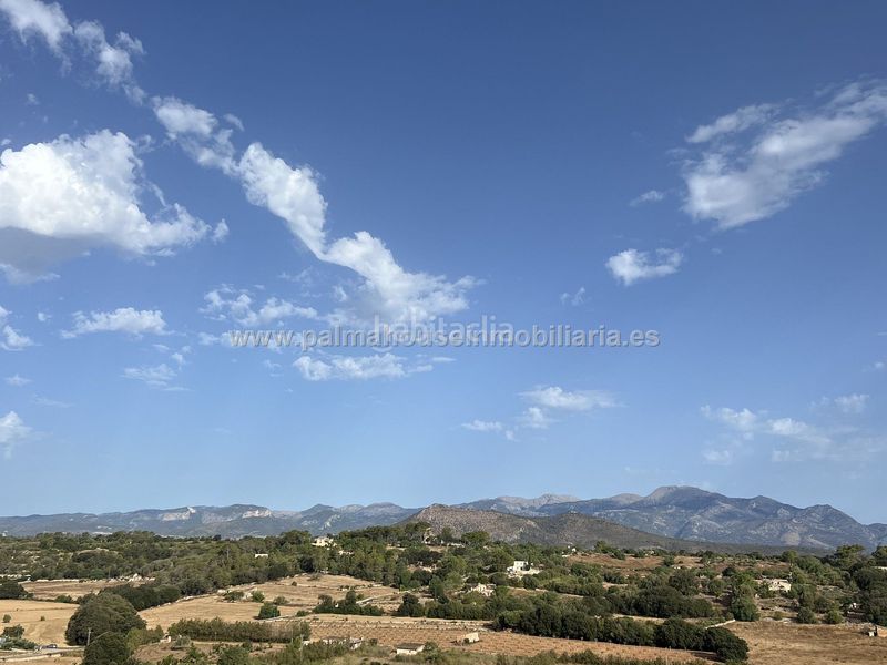 Foto 0aa52d9e-a6fd-4453-ace6-7495994546ff. Lloguer masia a Llubí