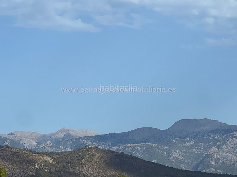 Foto 32c76e90-c644-428c-a0fb-d164197df0c3. Lloguer masia a Llubí
