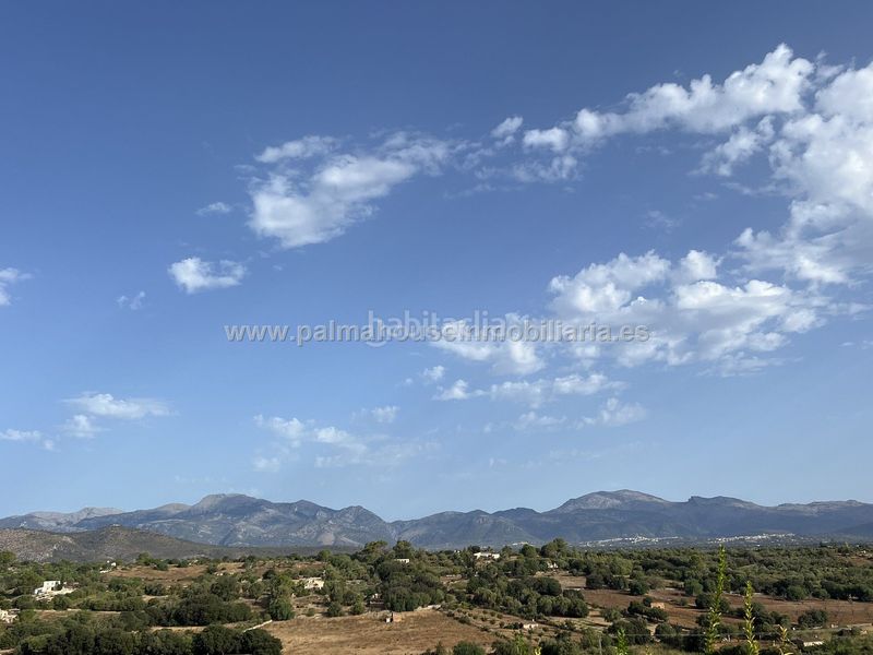 Foto c1731176-abb9-4719-8ed4-15ae04b54748. Lloguer masia a Llubí