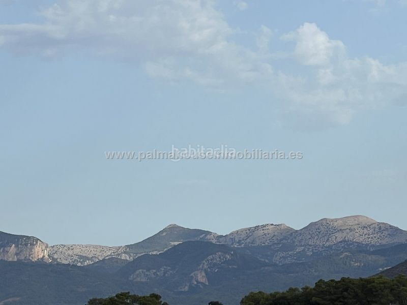 Foto fd1571df-9845-4c45-8529-f3cf76923a4f. Lloguer masia a Llubí