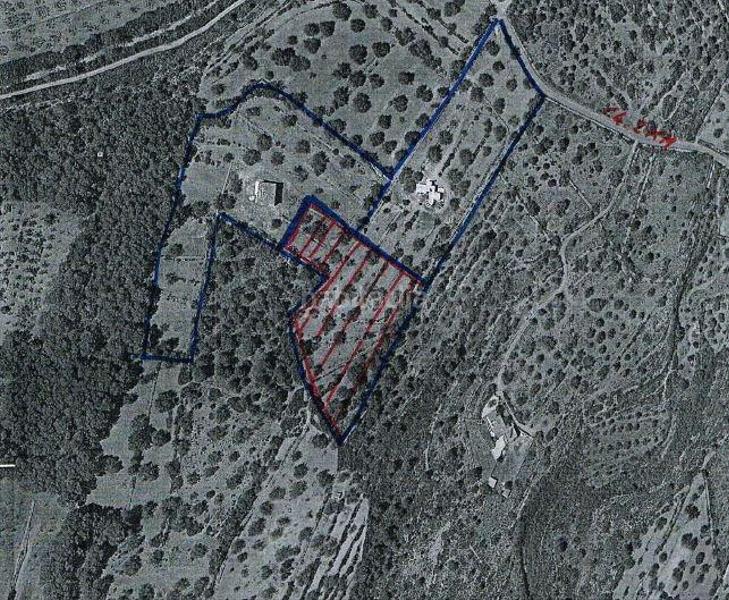 Foto 2bfd160a-39c5-481e-89a3-51efed571c0e. Fondo rustico in Cálig