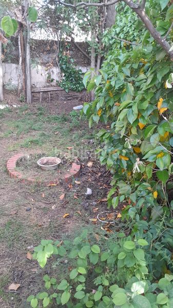 Foto a75ea1ca-adb1-4a63-824b-71a8b2290f46. Casa adossada amb xemeneia calefacció a Cájar