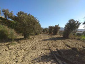 Finca rústica a Camino Cerrillos 3