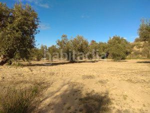Foto a6a264d2-4648-4db5-9ce3-0e77356333dd. Finca rústica a Polideportivo Alhendín