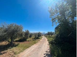 Landgut en Otura. Parcela en otura