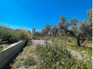 Finca rústica  Avenida villa de otura. Terreno rustico en otura
